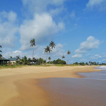 Afro Beach Eco Resort Butre Kültér fotó