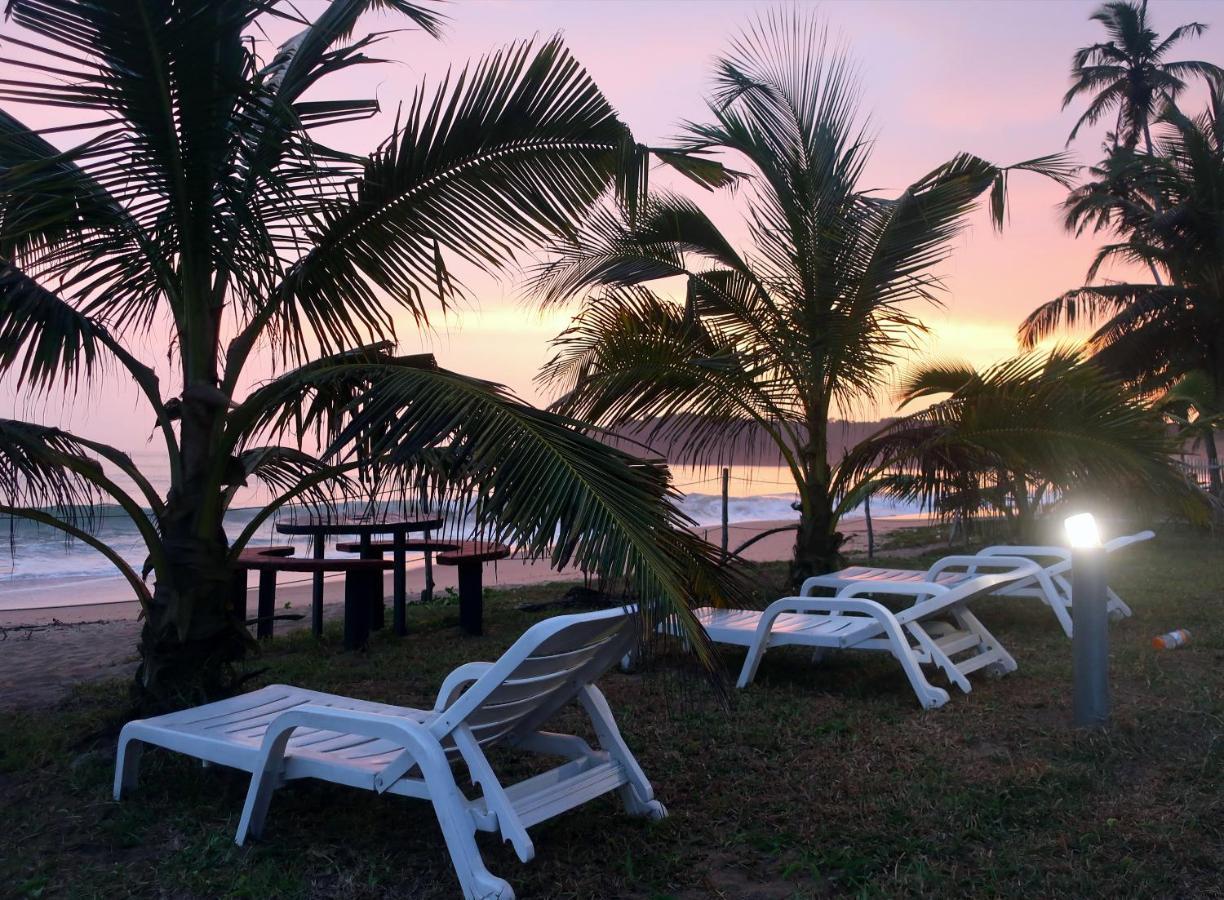 Afro Beach Eco Resort Butre Kültér fotó