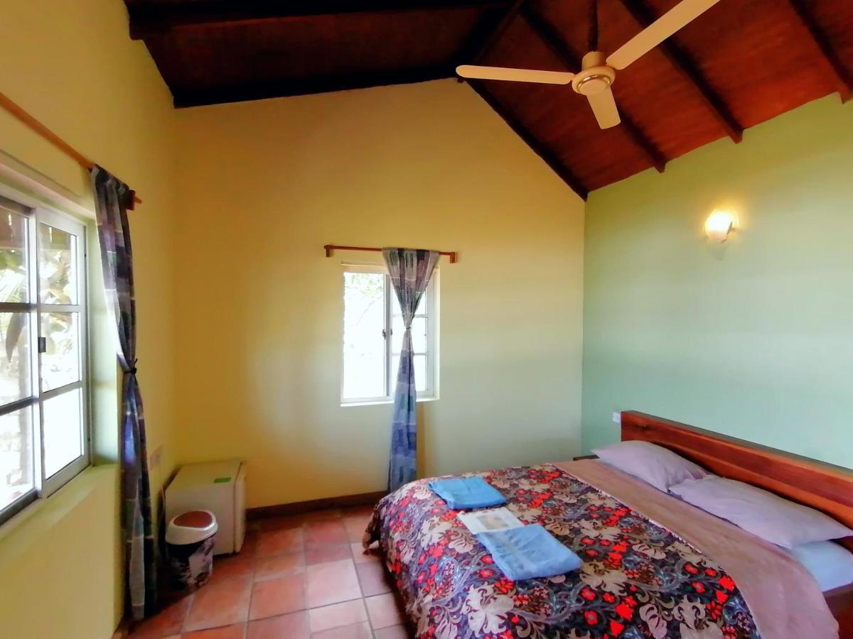 Afro Beach Eco Resort Butre Kültér fotó