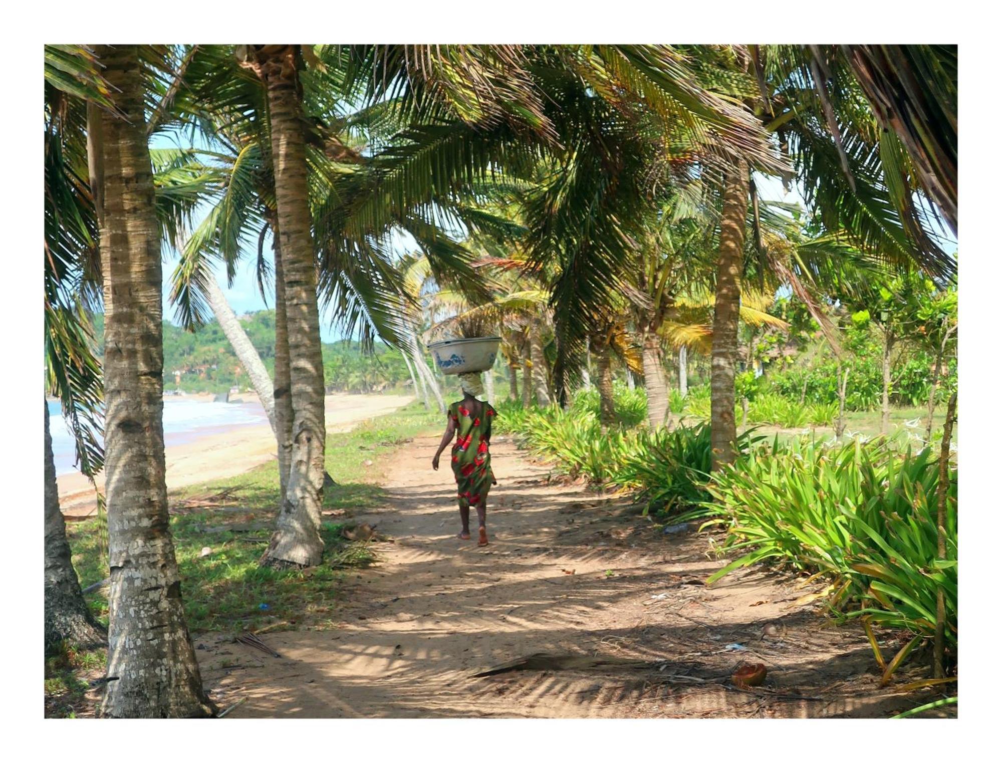 Afro Beach Eco Resort Butre Kültér fotó