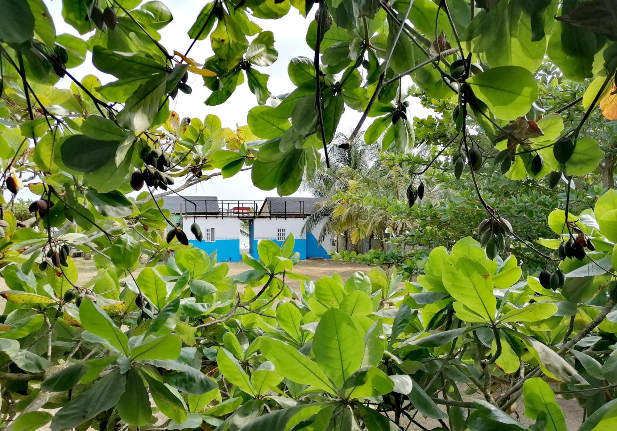 Afro Beach Eco Resort Butre Szoba fotó