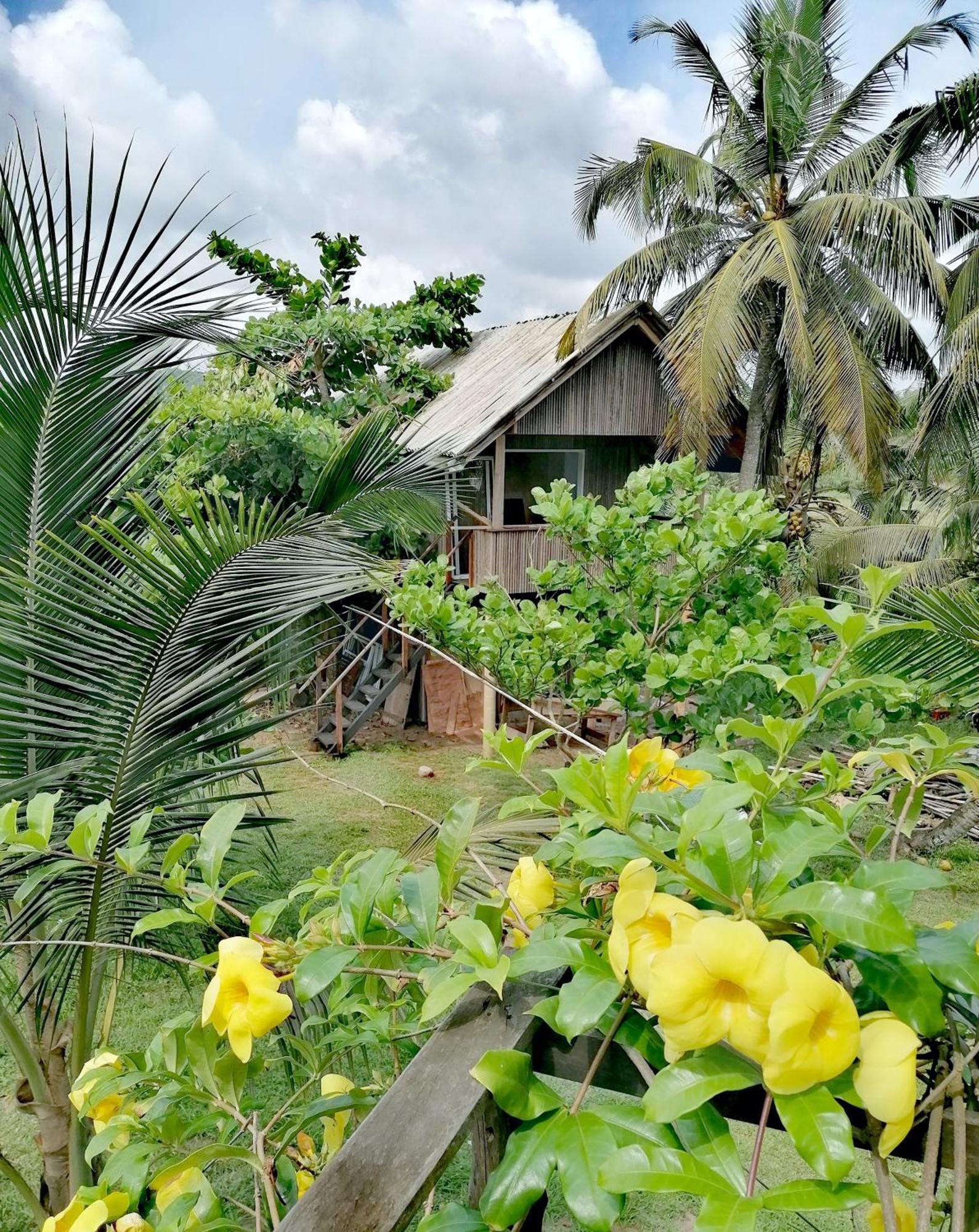 Afro Beach Eco Resort Butre Szoba fotó