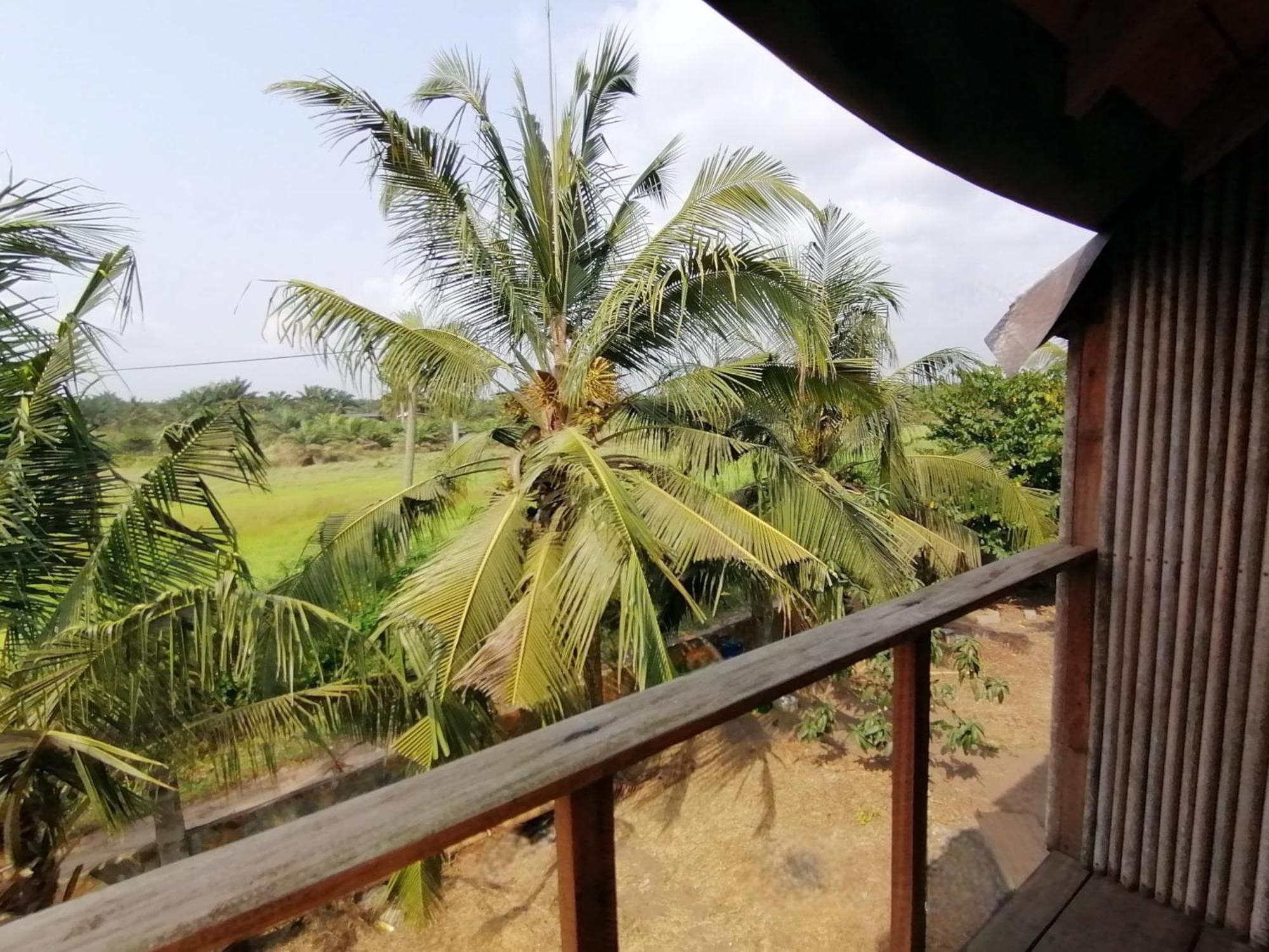 Afro Beach Eco Resort Butre Szoba fotó